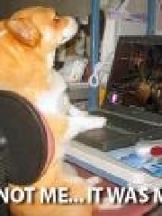 KJHS' profile picture