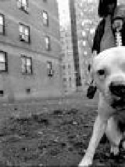 k0lzar's profile picture