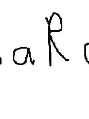 paRa's profile picture