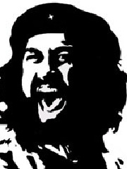 sine's profile picture