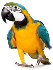 Kamz's profile picture