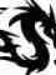 dr4g's profile picture