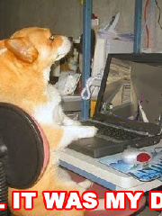 wielo's profile picture