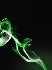 dash's profile picture