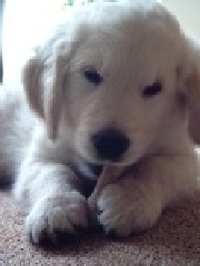 JALLAAAAAA's profile picture