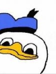 kaze's profile picture