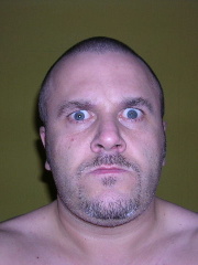 kevlar's profile picture