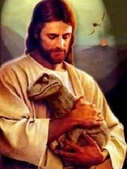 Assimilator's profile picture