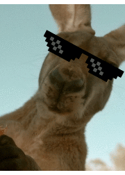 m1ch's profile picture