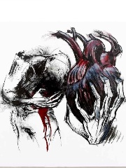 s6nset's profile picture