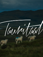 ampsu's profile picture