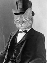 hizzy's profile picture