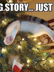 Mos' profile picture