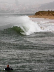 L0g1c's profile picture