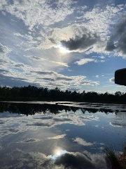 sac's profile picture