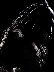 Predje's profile picture