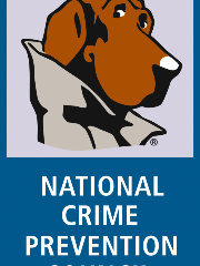 nonpardone's profile picture