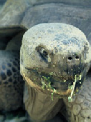 trmp's profile picture