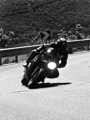 hUMY's profile picture