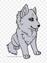 aRac0n's profile picture