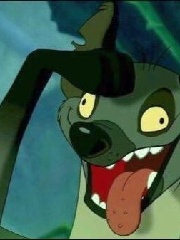 yciuj's profile picture