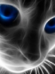 Aniky's profile picture