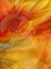 pbl's profile picture