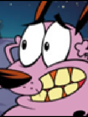 vimm's profile picture