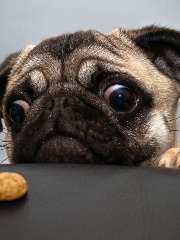 h8m3's profile picture