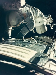 Nukits' profile picture