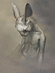 hasee's profile picture