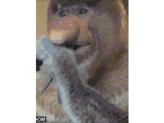 mental's profile picture