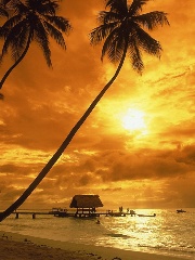 SsAP's profile picture