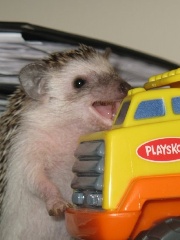 Cstm's profile picture