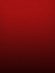 MostPerfect's profile picture