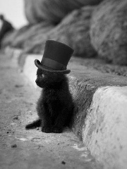 LtFullbody's profile picture