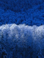 waXx's profile picture