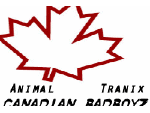 Canadian Badboyz - Anim & Tranix